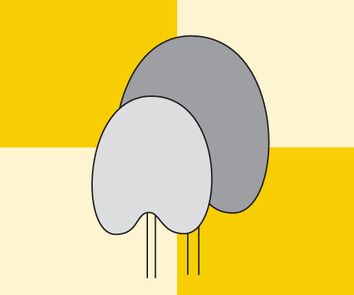 Wijkvereniging Braakhuizen-Zuid